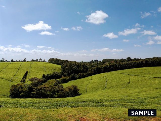 Sample photograph for 5 Acres Agricultural Land in Nanyuki